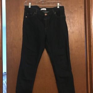 Size 12P Loft Dark Wash Modern Skinny Jeans